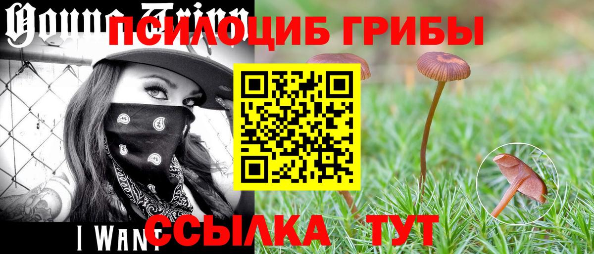 Галлюциногенные грибы мицелий  Псилоцибиновые грибы ЛСД  Дедовск  Вход с VPN 